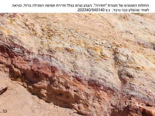 ‫החולות המגוונים של תצורת "חתירה". הצבע נגרם בגלל חדירת תמיסה המכילה ברזל, כנראה‬
                                          ‫לאחר שהסלע כבר נרבד. נ.צ 041045/043202.‬




‫35‬
 