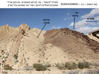 ‫תצורת "מישש" – צור וקירטון משוכבים. בקירטון שרידי‬
   ‫מאובנים )זוחלים ודגים(. הצור יוצר מצוקים בכל הארץ.‬   ‫סוף המצוק – נ.צ. – 036935/440302‬


                                                                   ‫צור‬
                                                                  ‫מישש‬
                                      ‫קירטון‬                                   ‫מזרח‬
                                      ‫מנוחה‬




‫8933‬
 