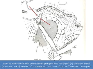 ‫המסיב הערבי/נובי )1 ( לוחץ על א"י בכיוון החץ מימין )מדרום-מזרח(, ואילו אירופה לוחצת על הארץ‬
‫מצפון מערב. הלחצים הללו גורמים ליצירת רכסים בכיוון צפון-מזרח ל דרום-מערב )וראו בדפים הבאים(‬
 