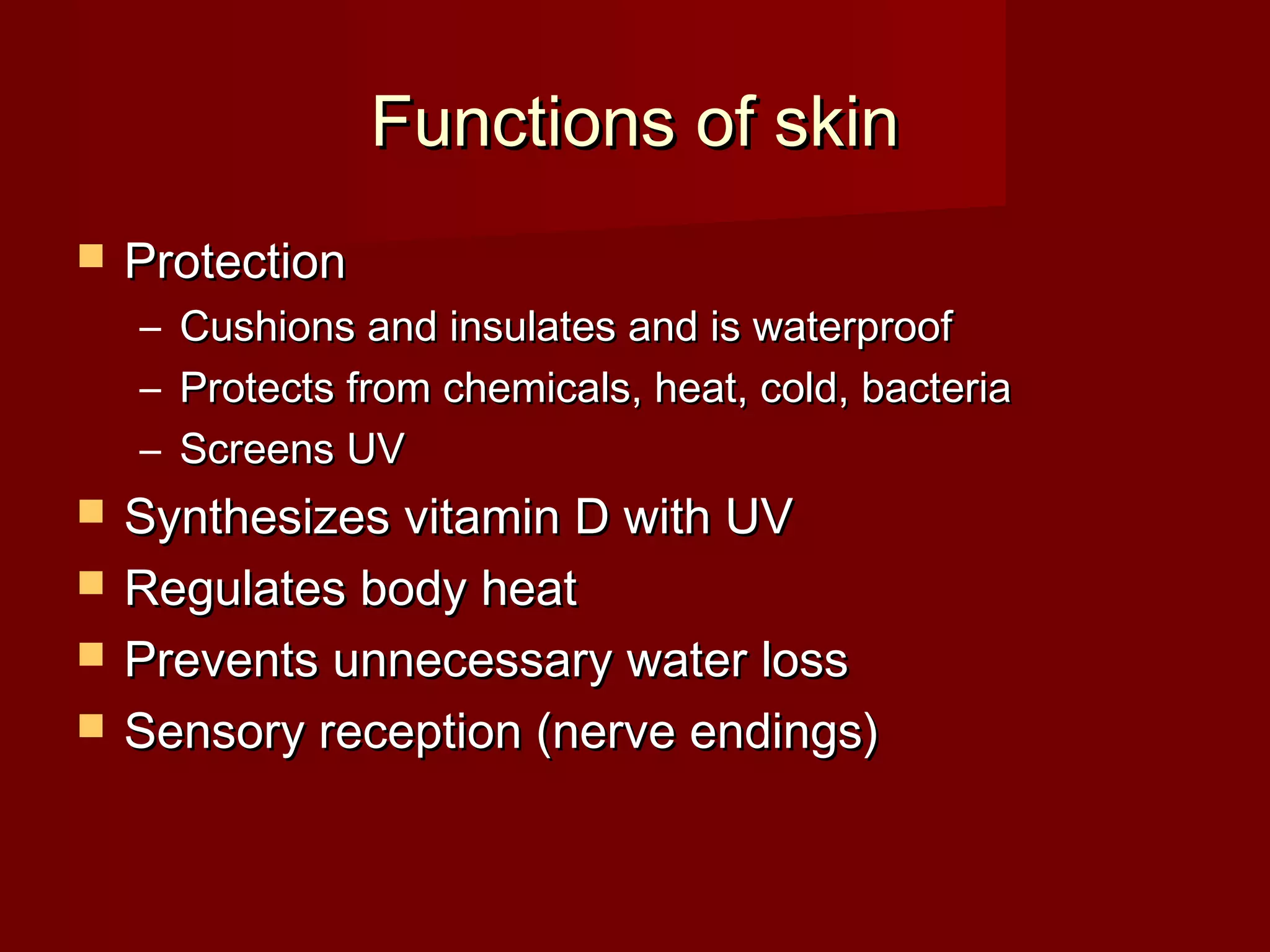 Anatomy lab. 2 integumentary sys | PPT