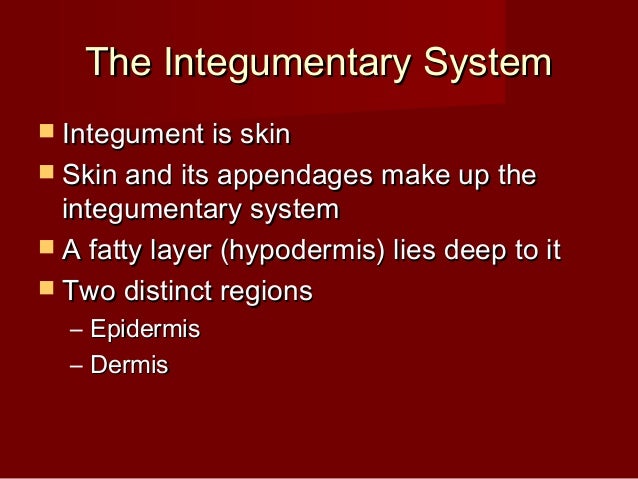 Anatomy Lab 2 Integumentary Sys