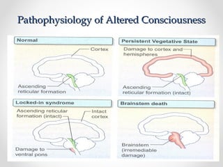 [Int. med] altered state of consciousness from SIMS Lahore | PPT
