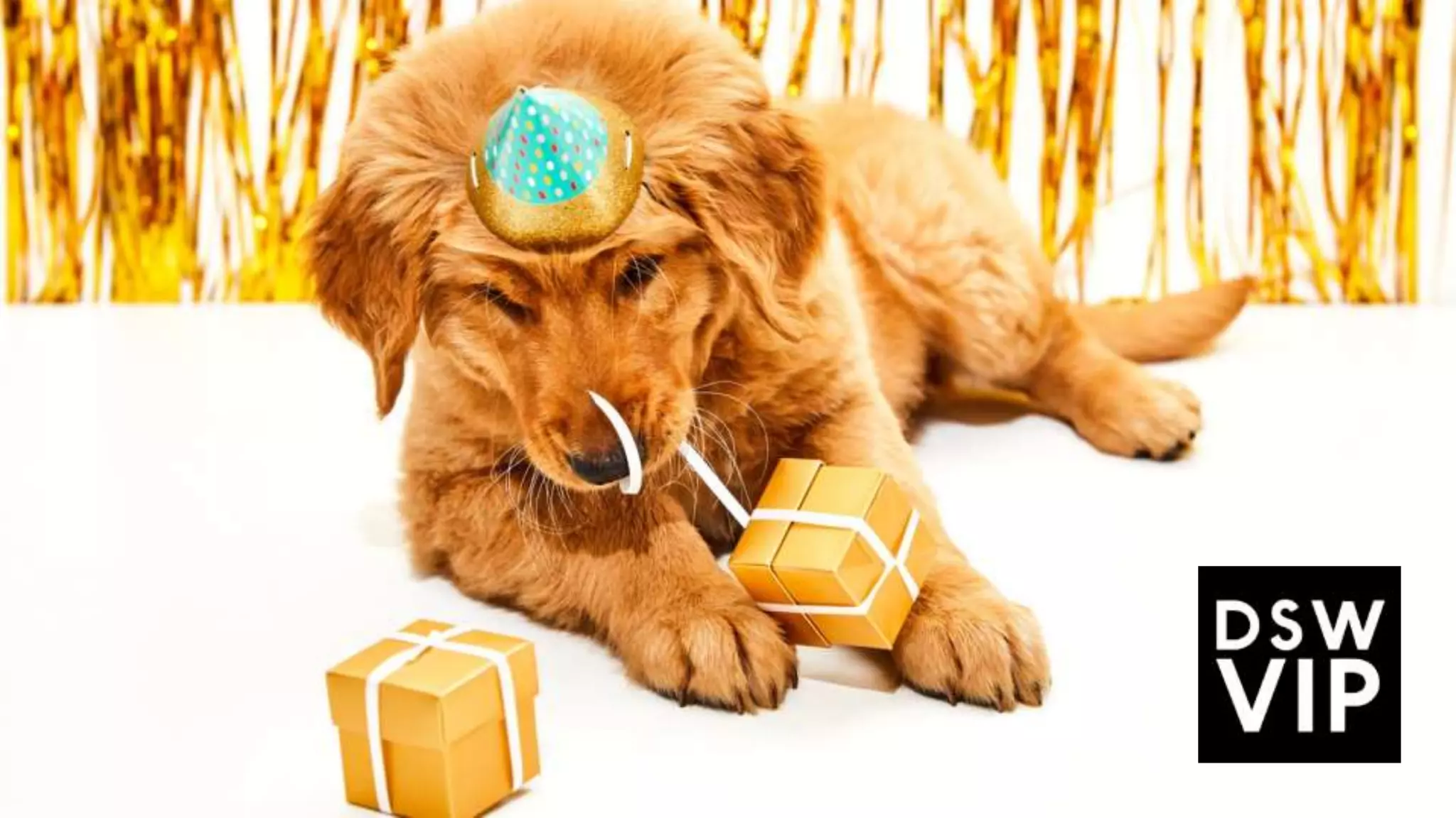 Using data to transform customer loyalty