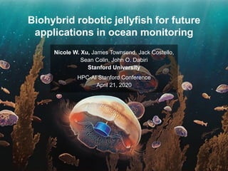Biohybrid robotic jellyfish for future
applications in ocean monitoring
Nicole W. Xu, James Townsend, Jack Costello,
Sean Colin, John O. Dabiri
Stanford University
HPC-AI Stanford Conference
April 21, 2020
 