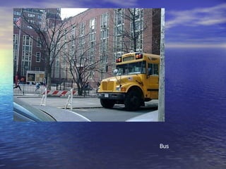 Bus