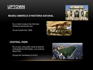 UPTOWN
MUSEU AMERICÀ D’HISTÒRIA NATURAL
Es un dels museus mes famosos
d'història natural del mon.
Va ser fundat l’any 1869.
CENTRAL PARK
És un parc urbà públic situat al districte
metropolità de Manhattan, a la ciutat de
Nova York.
Ocupa 341 hectáreas (3,4 km²)
 