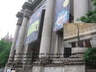 B) NATURAL HISTORY: Es una de las principales
colecciones neoyorquinas. Está ubicado en el noroeste de
Manhattan, en la calle 79 junto a Central Park, hacia el oeste. El
museo se fundó en 1869. Theodore Roosevelt fue uno de sus
fundadores.
 