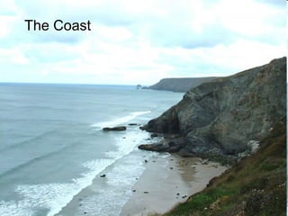 The Coast 
