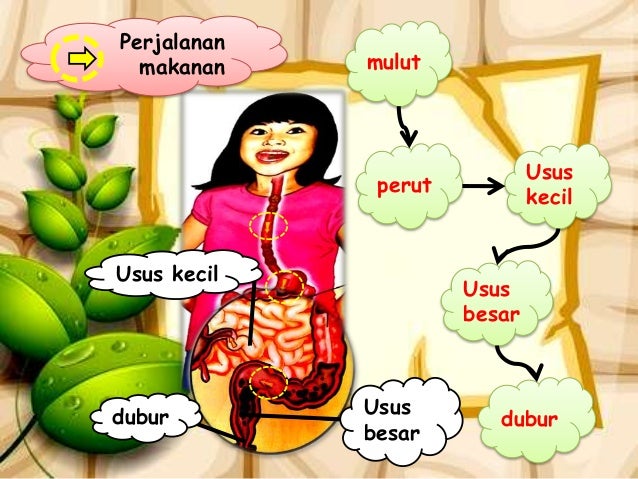 Soalan Sains Tahun 4 Sjkt - Selangor d Soalan Sains Tahun 4 Sjkt - Selangor d
