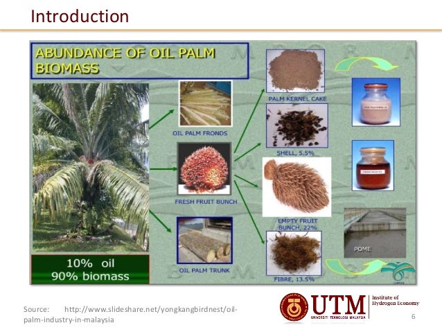 Non-Isothermal Kinetic Analysis of Oil Palm Empty Fruit ...