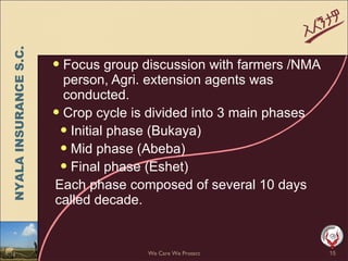 Weather insurance in practice, Ethiopia 