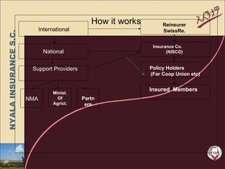 Weather insurance in practice, Ethiopia 