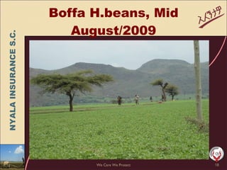 Weather insurance in practice, Ethiopia 