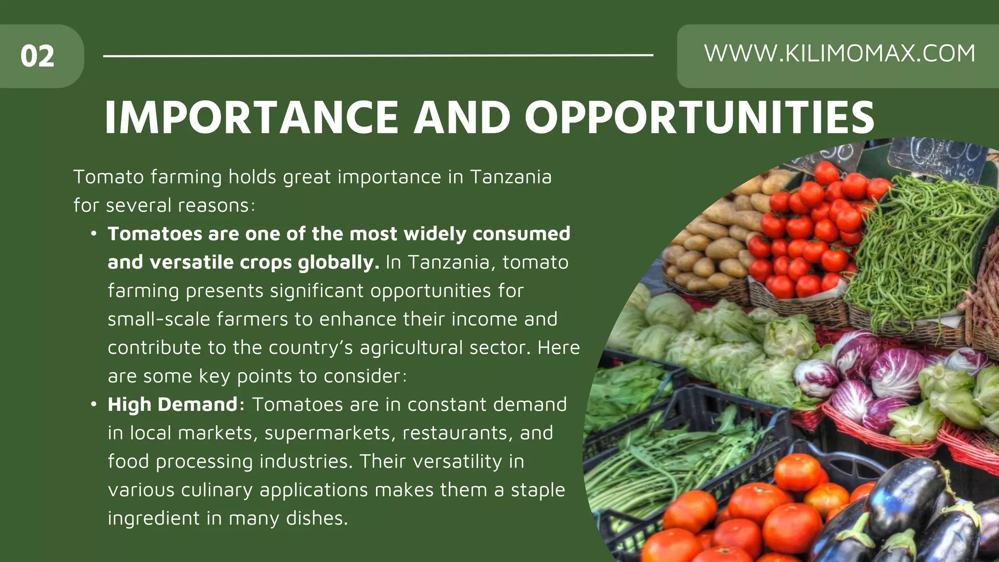 Tomato Overview.pptx