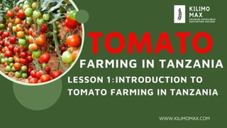 TOMATO
FARMING IN TANZANIA
WWW.KILIMOMAX.COM
LESSON 1:INTRODUCTION TO
TOMATO FARMING IN TANZANIA
 