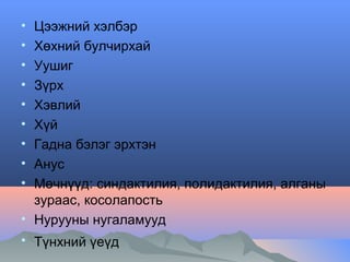•
•
•
•
•
•
•
•
•

Цээжний хэлбэр
Хөхний булчирхай
Уушиг
Зүрх
Хэвлий
Хүй
Гадна бэлэг эрхтэн
Анус
Мөчнүүд: синдактилия, полидактилия, алганы
зураас, косолапость
• Нурууны нугаламууд
• Түнхний үеүд

 