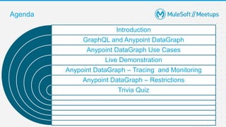 Anypoint Data Graphs | PPTX