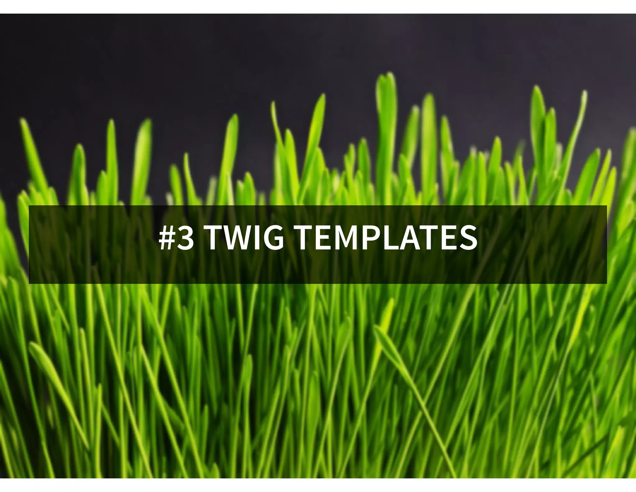 #3 TWIG TEMPLATES
 