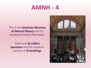 AMNH - 4

This is the American Museum
  of Natural History and it’s
located at Central Park West.

     There are 32 million
 specimen and the museum
   consists of 25 buildings.
 