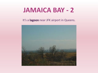 JAMAICA BAY - 2
It’s a lagoon near JFK airport in Queens.
 