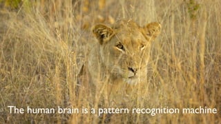 The human brain is a pattern recognition machine
 