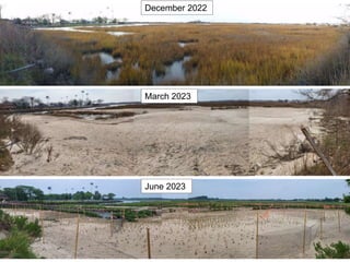 11
December 2022
March 2023
June 2023
 