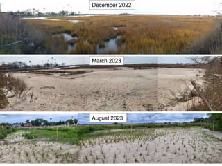 12
December 2022
March 2023
August 2023
 