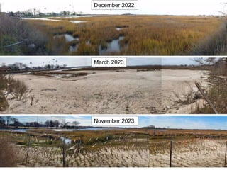 13
December 2022
March 2023
November 2023
 