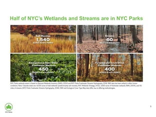 3
Half of NYC’s Wetlands and Streams are in NYC Parks
 
