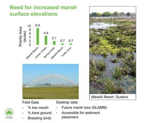 Need for increased marsh
surface elevations
8.9
4.8
2.1
0.7 0.7
0
2
4
6
8
10
Priority
Area
(acres)
Field Data
• % low marsh
• % bare ground
• Breeding birds
Desktop data:
• Future marsh loss (SLAMM)
• Accessible for sediment
placement
Photo: Patty Doer, TNC-NJ Idlewild Marsh, Queens
 