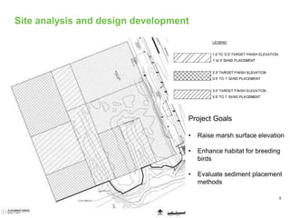 Site analysis and design development
9
Project Goals
• Raise marsh surface elevation
• Enhance habitat for breeding
birds
• Evaluate sediment placement
methods
 
