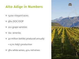 13,100 vineyard acres

98% DOC/DOP

20+ grape varieties

160 wineries

40 million bottles produced annually

= 0.7% Italy‘s production

58% white wines, 42% red wines
 