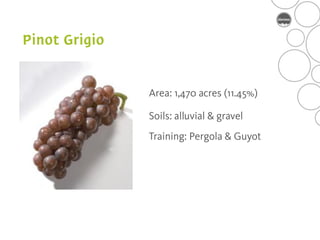 Area: 1,470 acres (11.45%)

Soils: alluvial & gravel
Training: Pergola & Guyot
 