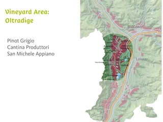 Pinot Grigio
Cantina Produttori
San Michele Appiano
 