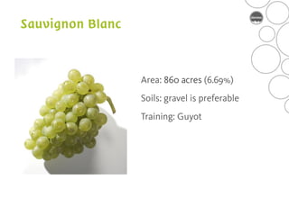 Area: 860 acres (6.69%)
Soils: gravel is preferable
Training: Guyot
 