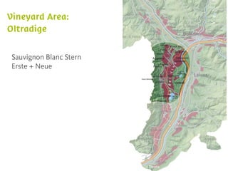 Sauvignon Blanc Stern
Erste + Neue
 
