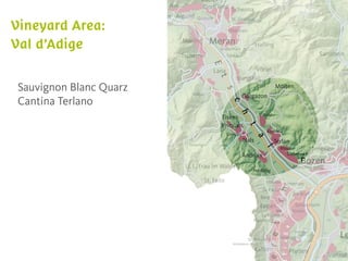 Sauvignon Blanc Quarz
Cantina Terlano
 