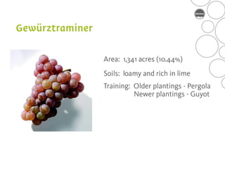 Area: 1,341 acres (10.44%)
Soils: loamy and rich in lime
Training: Older plantings - Pergola
          Newer plantings - Guyot
 