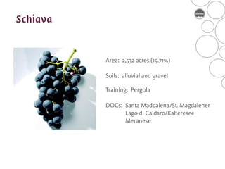 Area: 2,532 acres (19.71%)

Soils: alluvial and gravel

Training: Pergola

DOCs: Santa Maddalena/St. Magdalener
      Lago di Caldaro/Kalteresee
      Meranese
 