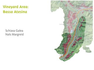 Schiava Galea
Nals Margreid
 