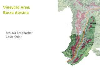 Schiava Breitbacher
Castelfeder
 