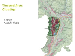 Lagrein
Castel Sallegg
 