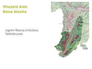 Lagrein Riserva Linticlarus
Tiefenbrunner
 