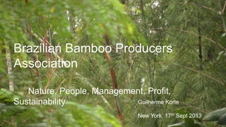 Brazilian Bamboo Producers
Association
Nature, People, Management, Profit,
Guilherme Korte
Sustainability
New York 17th Sept 2013

 