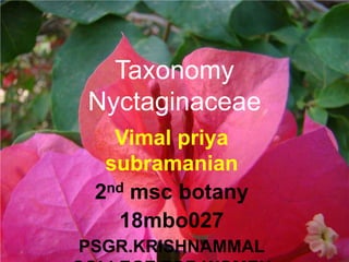 Vimal priya
subramanian
2nd msc botany
18mbo027
PSGR.KRISHNAMMAL
Taxonomy
Nyctaginaceae
 