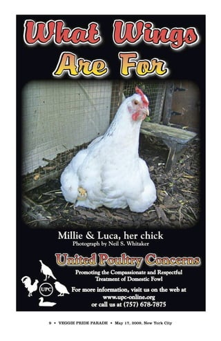 NYC Veggie Pride Flyer