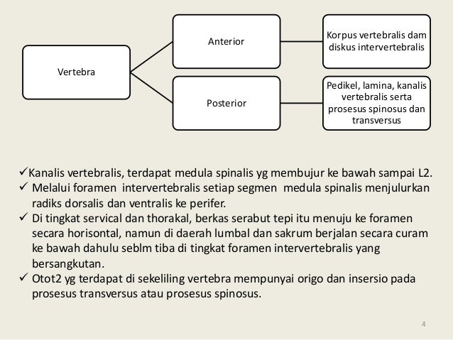 Nyeri Pinggang Bawah