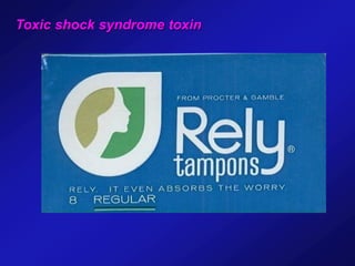 Toxic shock syndrome toxin
 