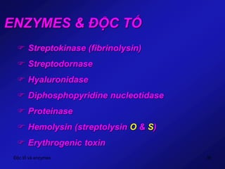 Độc tố và enzymes 35
ENZYMES & ĐỘC TỐ
 Streptokinase (fibrinolysin)
 Streptodornase
 Hyaluronidase
 Diphosphopyridine nucleotidase
 Proteinase
 Hemolysin (streptolysin O & S)
 Erythrogenic toxin
 
