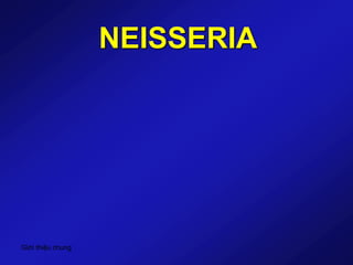 Giới thiệu chung
NEISSERIA
 